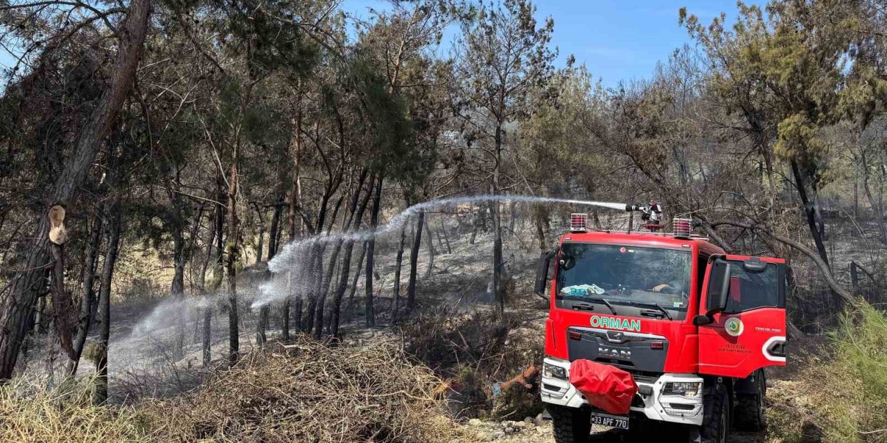 Mersin’de Orman Yangını: 1,5 Hektar Alan Zarar Gördü