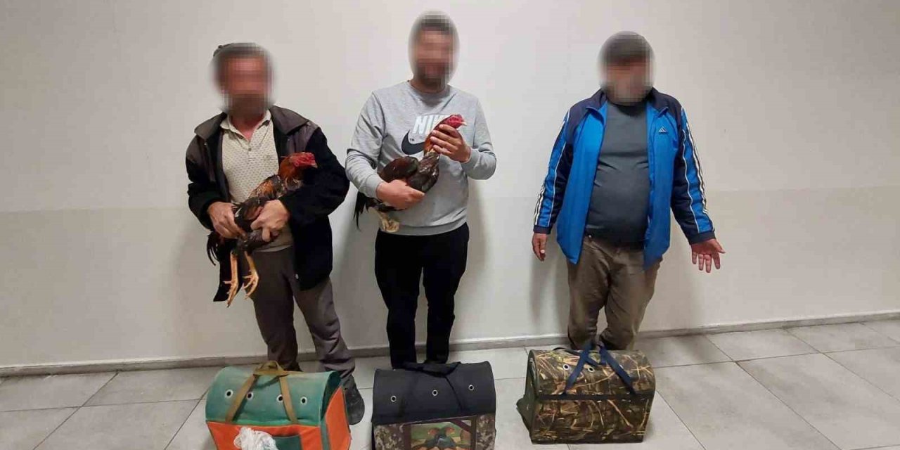 Antalya’da Dövüşe Hazırlanan Horozlar Muhafaza Altına Alındı