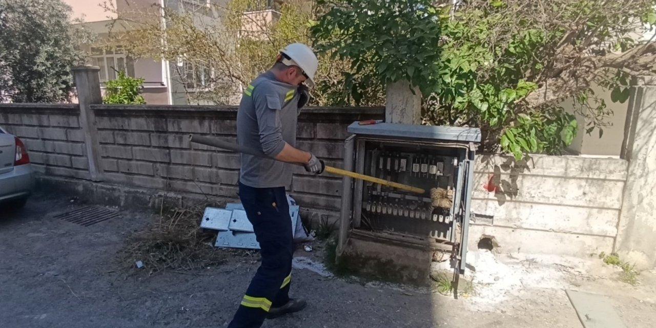 Elektrik Baksına Giren Kedi Akıma Kapılarak  Telef Oldu