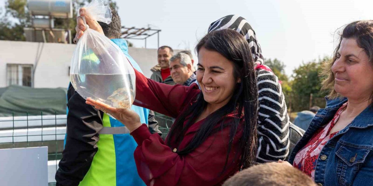 Mersin’de Kadınlar Haşere Mücadelesi İçin Lepistes Balığı Yetiştirecek