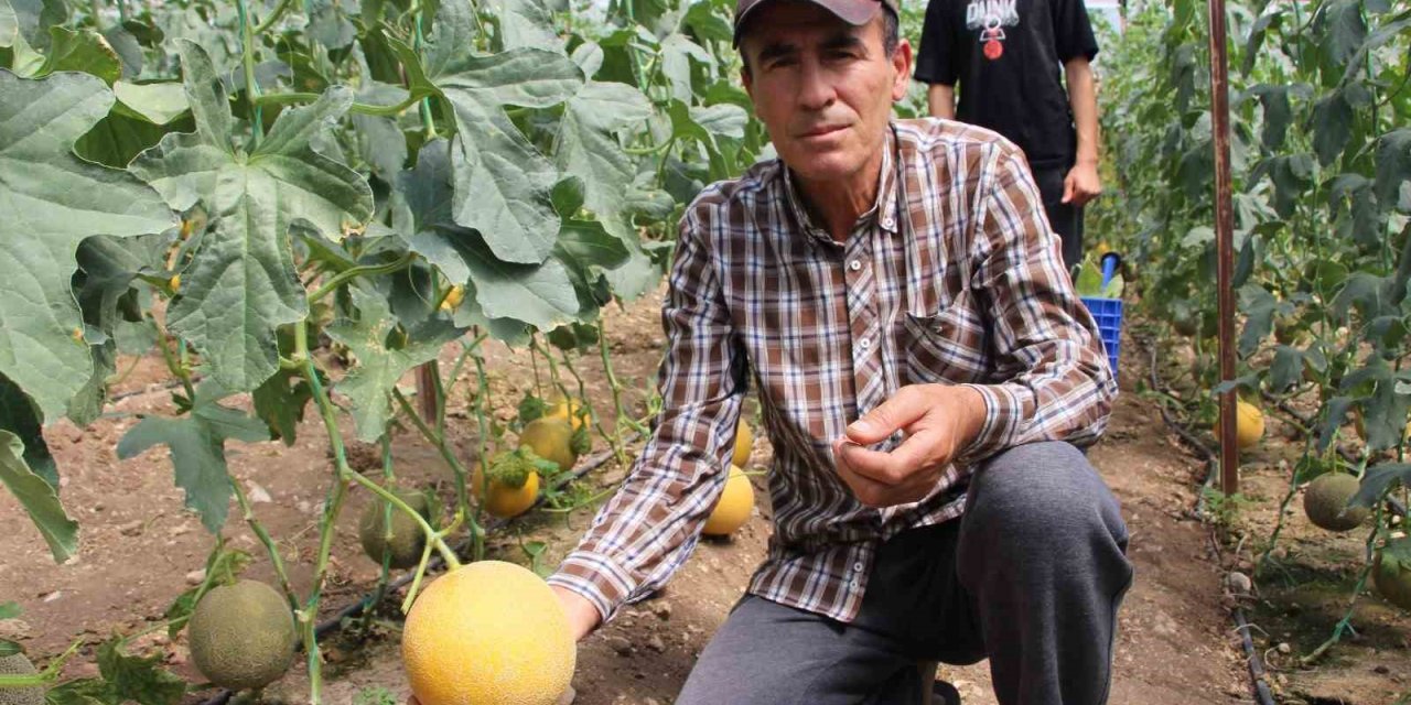 "bu Mevsimde Olmaz" Dediler, 2 Ton Hasat Yapıp Kilosunu 200 Tl’den Sattı