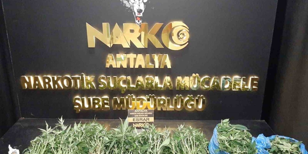 Antalya’da Son 1 Haftada Narkotik Suçlarda 11 Şahıs Tutuklandı