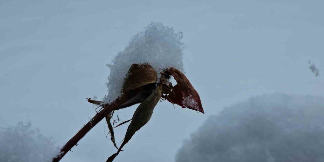 Kayseri’de Lapa Lapa Kar Yağdı