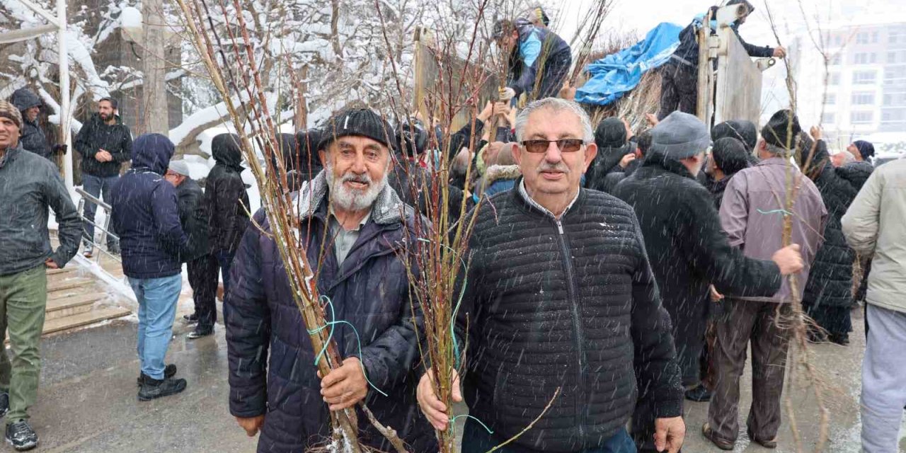 Başkan Özdoğan: "hacılar’ımız Meyveyi Dalından Tüketecek"