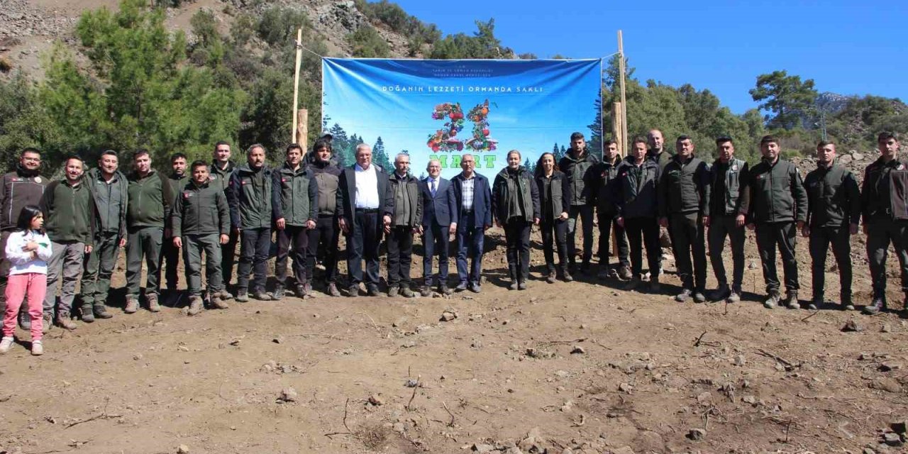 Antalya’da 700 Fidan Toprakla Buluştu