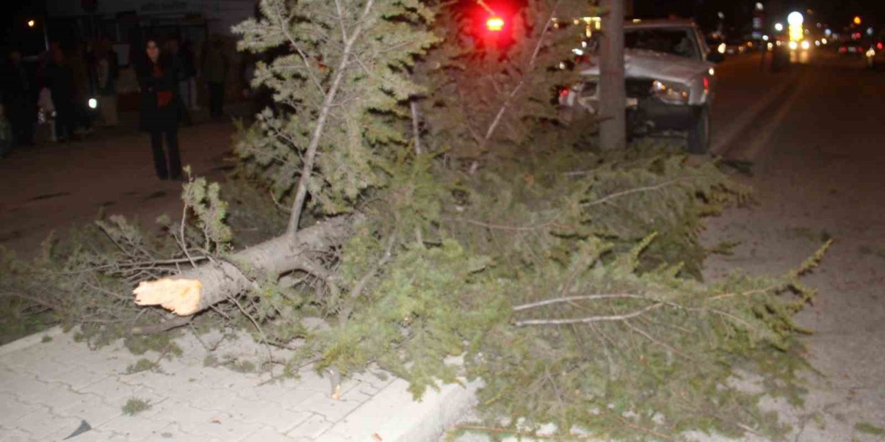 Konya’da Otomobil Refüjdeki Ağaca Çarptı: 6 Yaralı