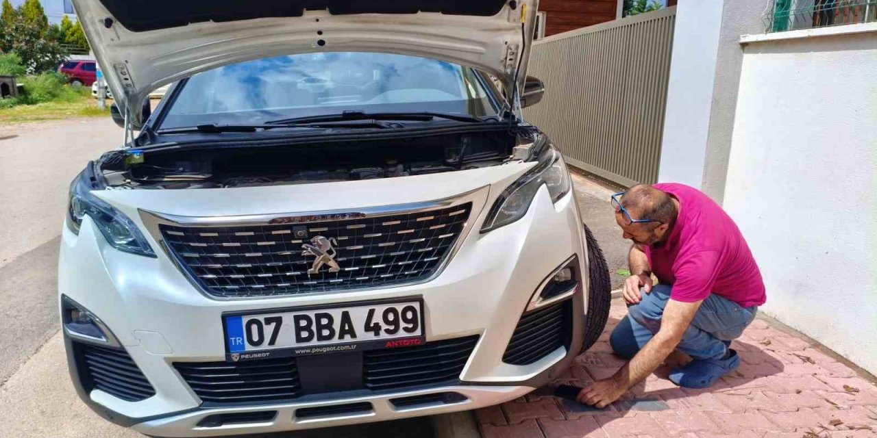 Aracın Motoruna Giren Yavru Kedileri Telefondan Kedi Sesi Açarak Çıkarmaya Çalıştılar
