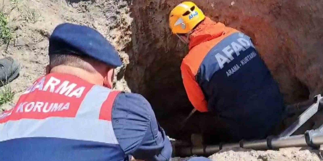 Çobanlar İhbar Etti, Kuyudaki Porsuk Kurtarıldı