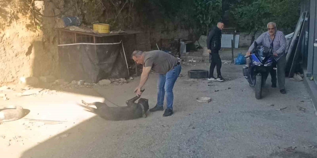 Böylesi İlk Defa Görüldü, Motosikletini Sakladığı Yer Jandarmayı Bile Şaşkına Çevirdi