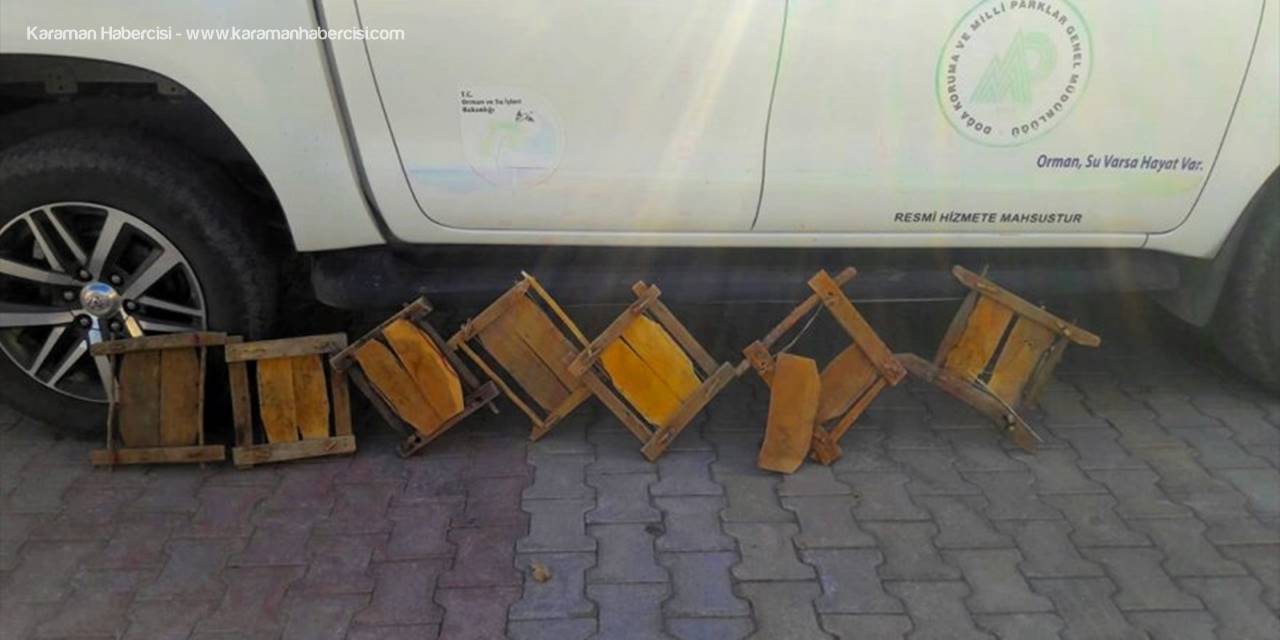 Konya'da Tuzakla Keklik Avına Ceza