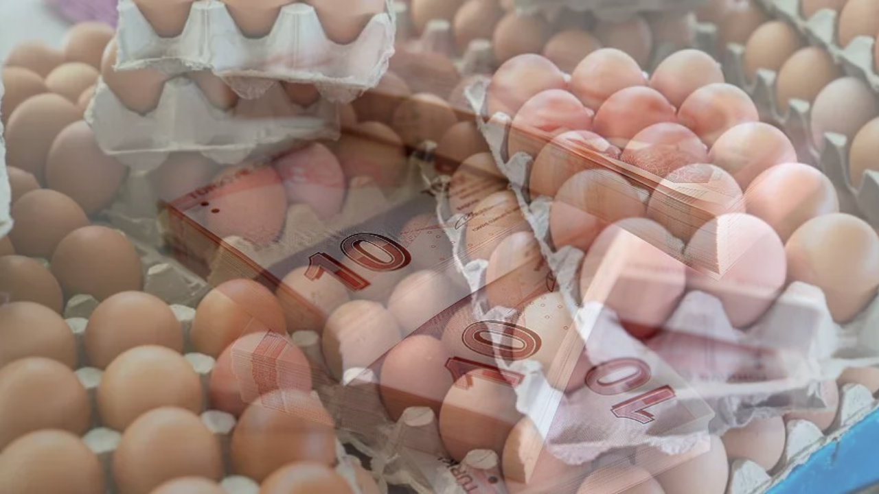 Yumurtaya Yüzde 50 İndirim!