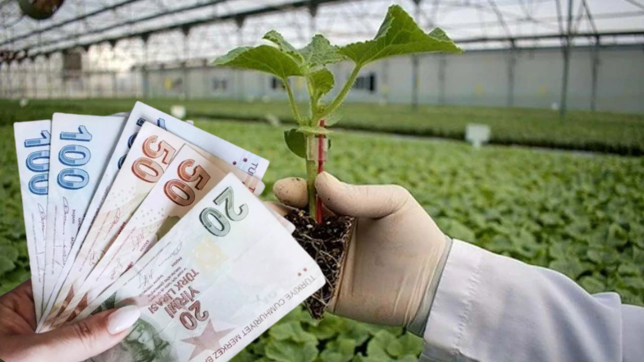 Çiftçiye 14 Mayıs’ta Fide Desteği Verilecek!