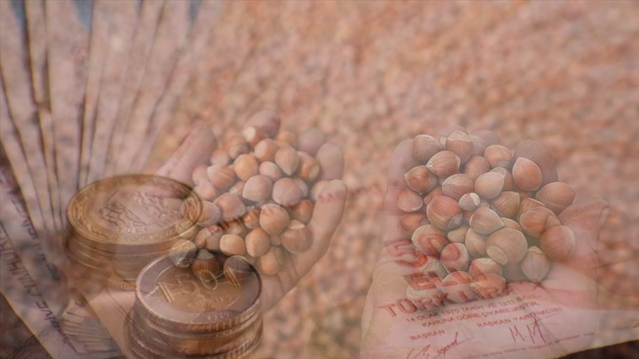 Fındık Fiyatları Yüzde 60 Zamlandı! İşte Güncel Fındık Fiyatları!