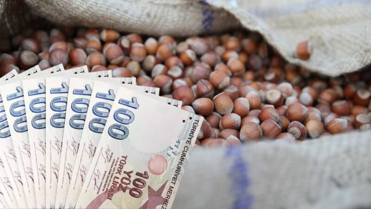 Fındık Fiyatlarında Sert Yükseliş! 10 Mayıs Fındık Fiyatları!