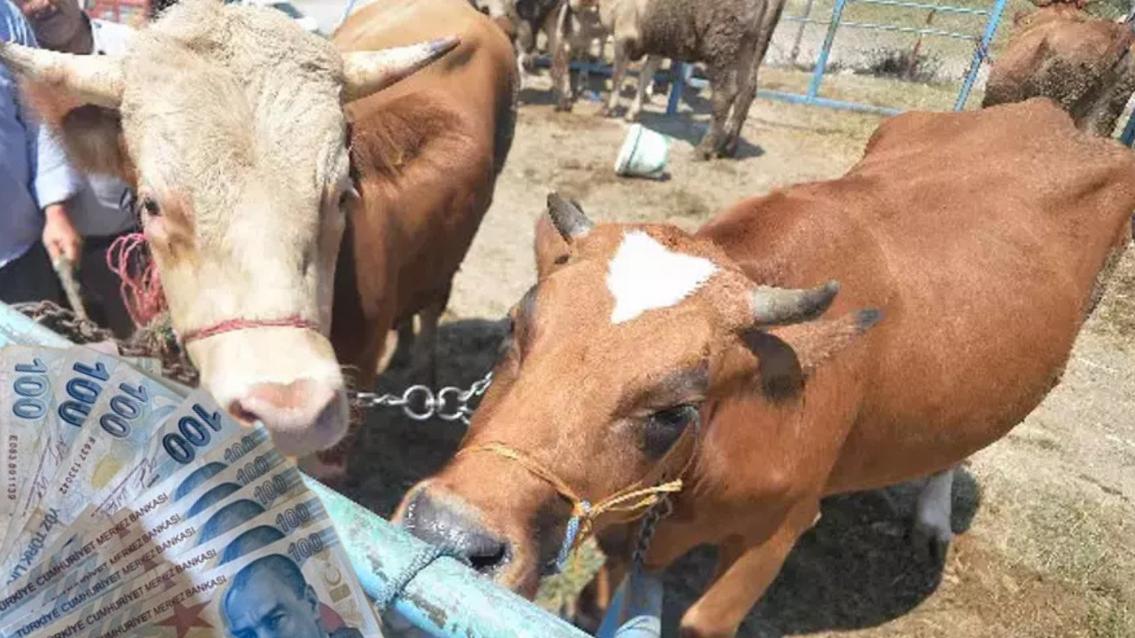 Kurban Vekalet Bedeli 5 Bin 250 TL Oldu!