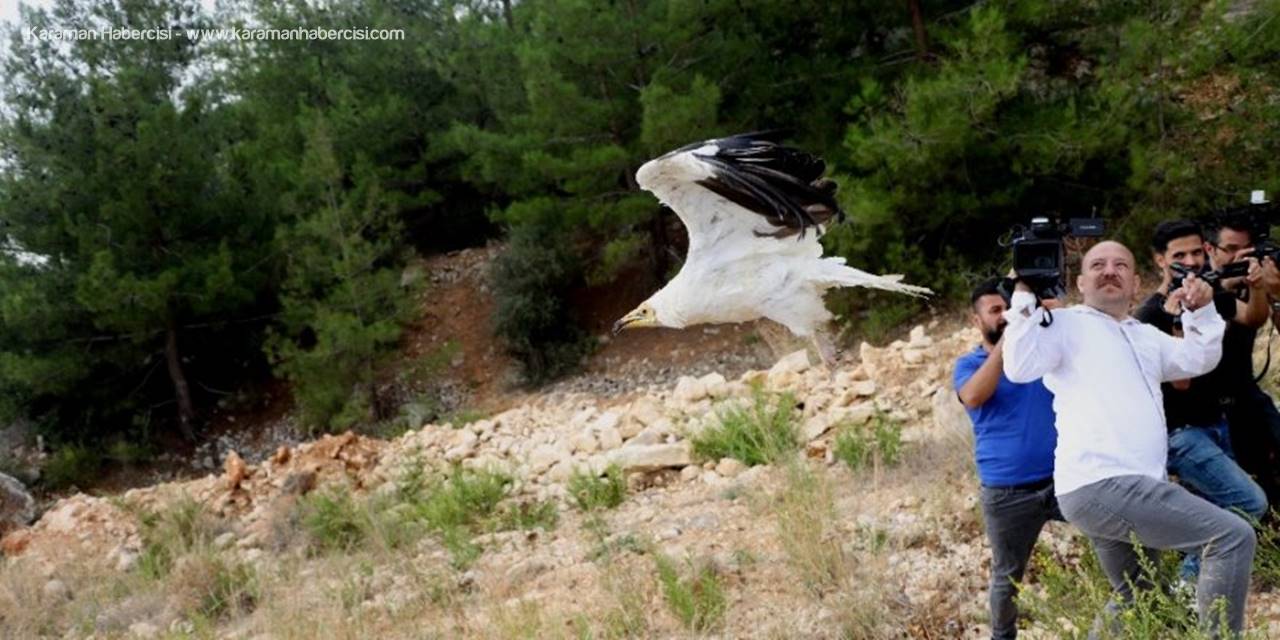 4 Ekim Dünya Hayvanları Koruma Günü