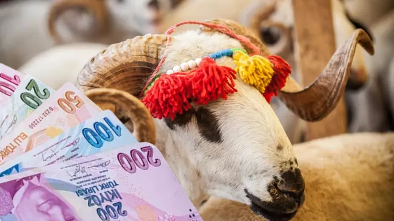 En Ucuz Kurbanlık Hangi İlde? İşte İl İl Kurbanlık Fiyatları!