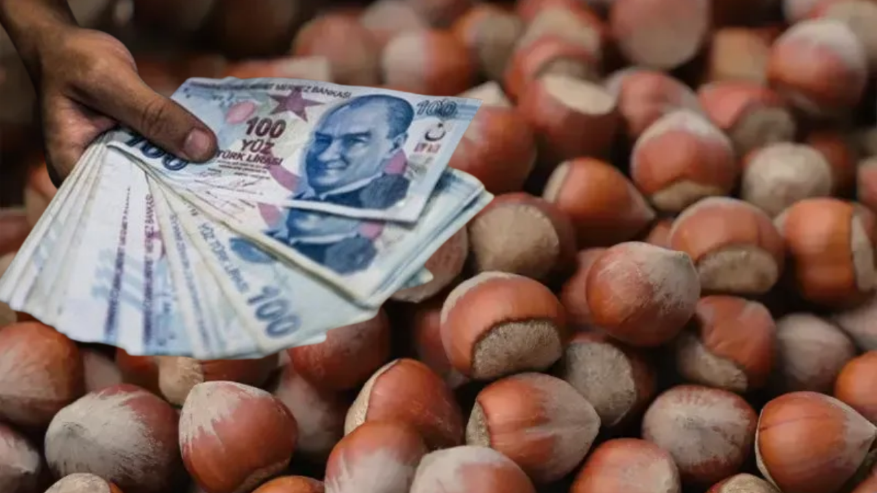 13 Mayıs İl İl Fındık Fiyatları Belli Oldu!