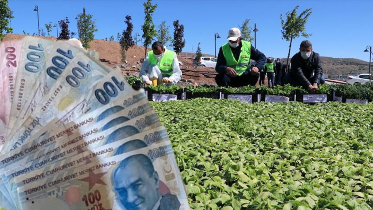 Çiftçiye 2 Milyona Yakın Fide Desteği Başladı!