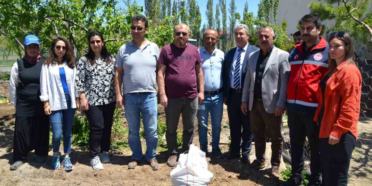 Niğde’de Üreticilere 33 Bin Adet Salep Yumrusu Dağıtıldı