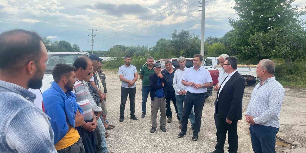 Serik’te Dolu Tarım Arazilerine Zarar Verdi, Hasar Tespit Çalışması Başlatıldı