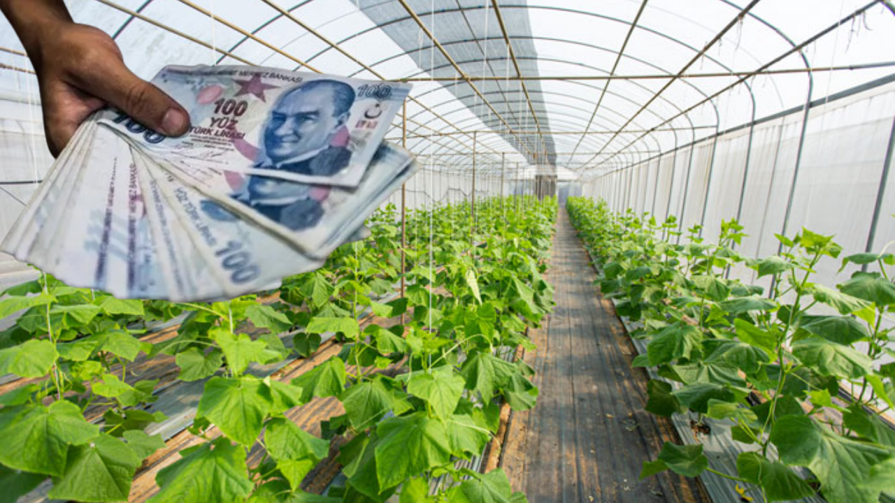 Çiftçiye Yüzde 50 Hibeli Sera Desteği!