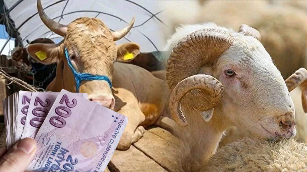 Küçükbaş 9 Bin TL, Büyükbaş 90 Bin TL!