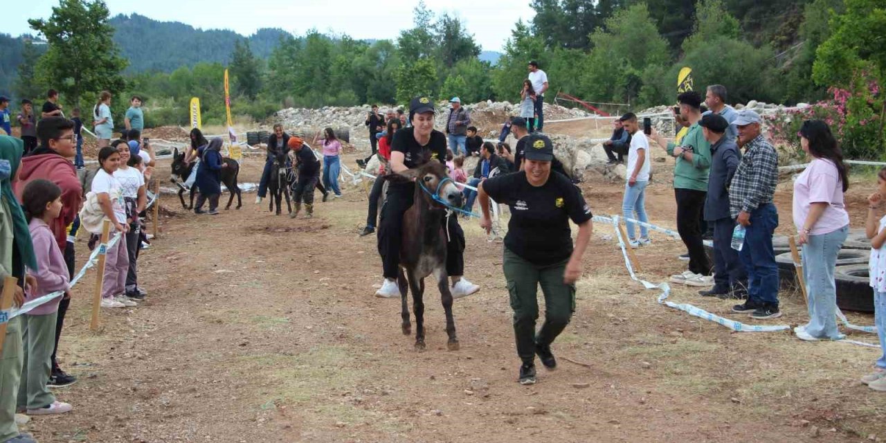 Motokros Yarışında Motosikletle Birinci, Diğer Yarışmada Eşekle Sonuncu Oldu