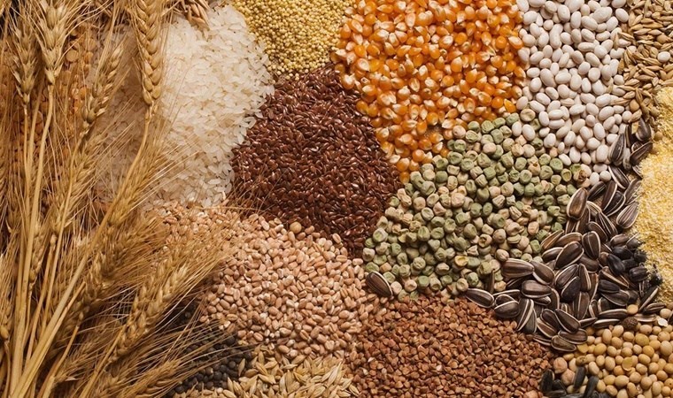Buğdaya Bayram Zammı! Arpa ve Mısır Fiyatları Düştü!