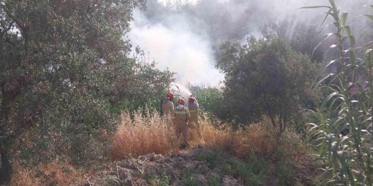 Mersin’de Tarım Arazisinde Çıkan Yangın Korkuttu