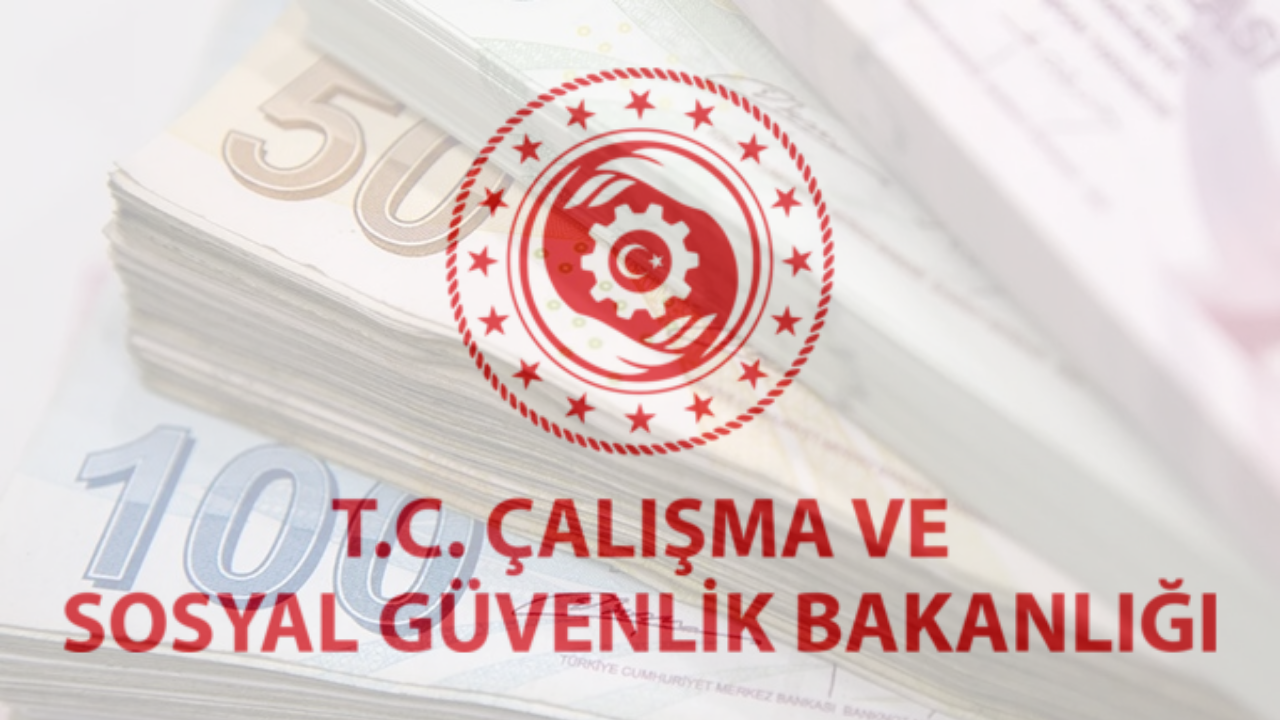 Çalışma Bakanlığı’ndan 720 Bin TL Hibe Desteği! Başvurular Başladı!