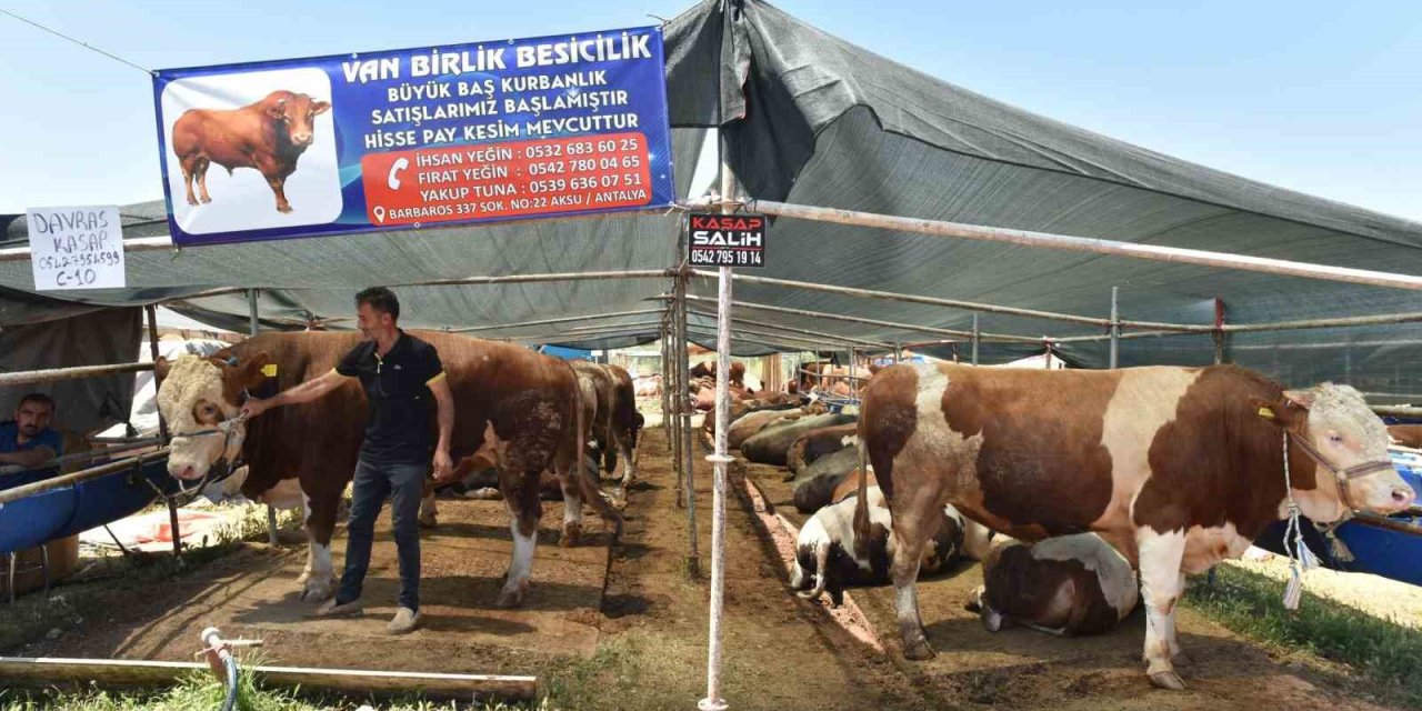 Kepez’de 9 Noktada Kurban Kesim Alanı