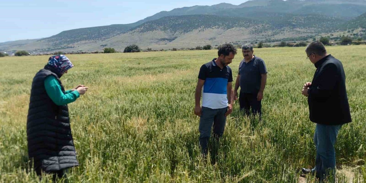 Karapınar’da Dolu Ve Sel Felaketinde Etkilenen Bölgelerde İncelemelerde Bulunuldu