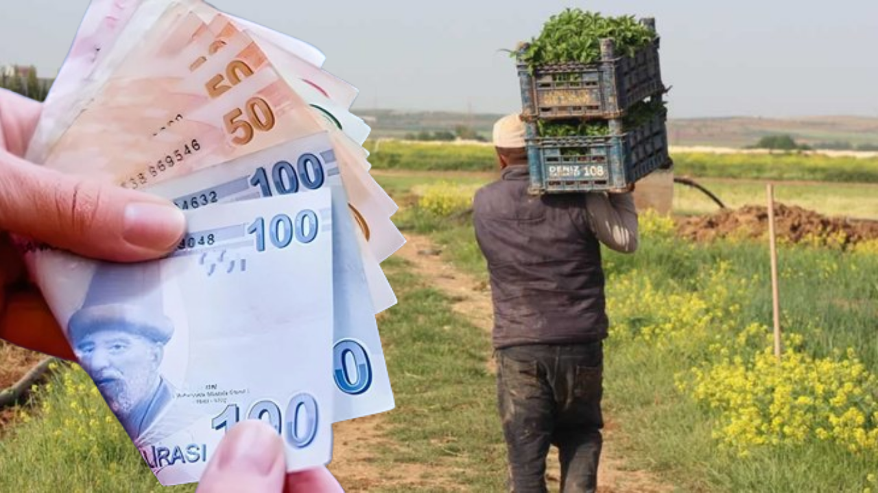 Çiftçinin Elinde Kalan Mahsul Satın Alınacak!