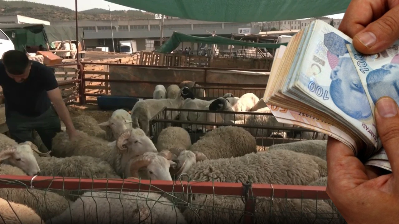 Kurbanlıkta Zararına Satış Başladı!