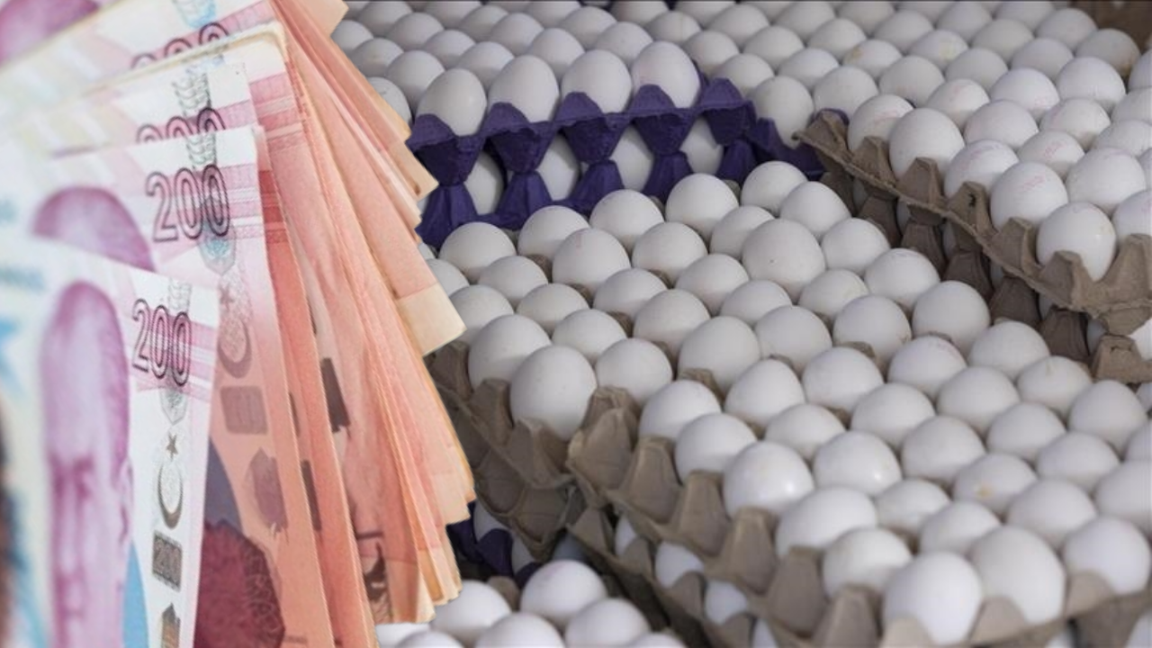 Yumurtaya Yüzde 19 İndirim Geldi!