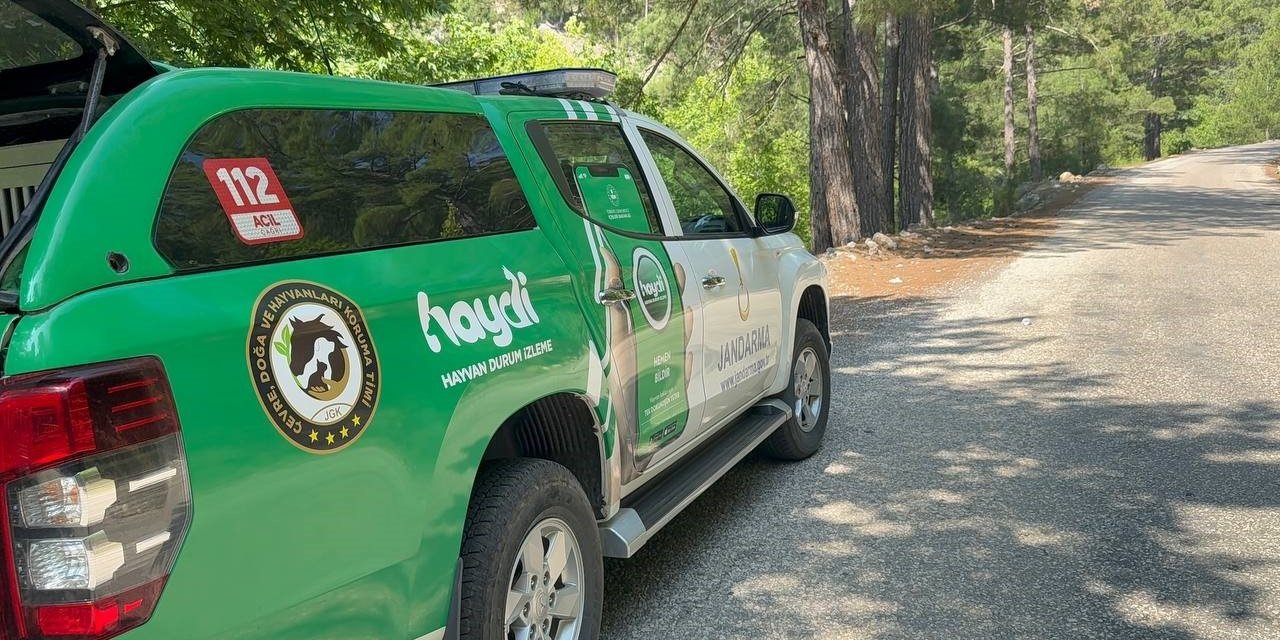 Yayla Yolunda Kaybolan Yaşlı Adam 300 Kişilik Ekiple Aranıyor