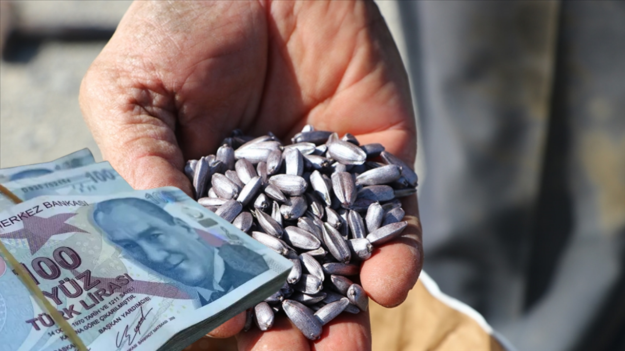 Çiftçiye Yüzde 80 Yerli Üretim Tohum Desteği!