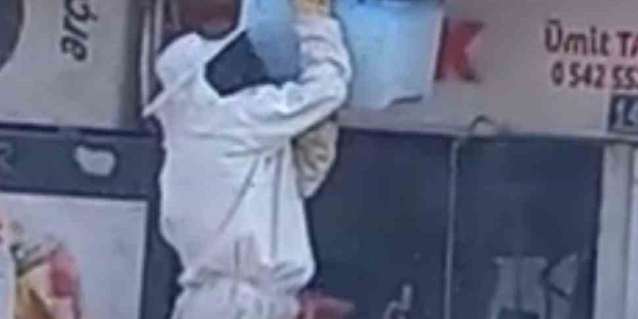 Karapınar’da Arı Paniği