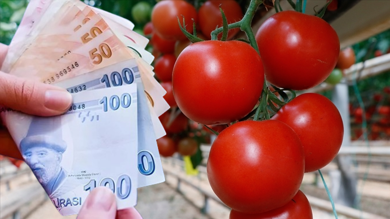 Domatese Bayram Sonu Zam Geldi!