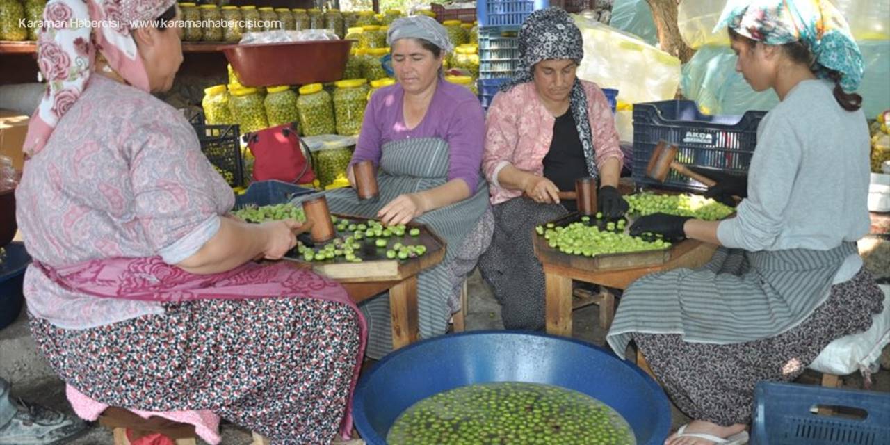 Mersin'de Yeşilzeytinler Sofralara Hazırlanıyor