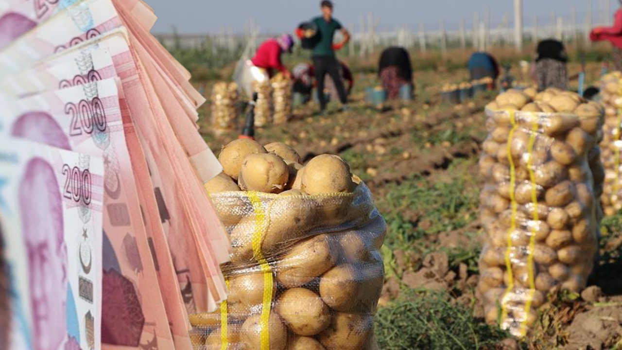 Patatesin Fiyatı Dibi Gördü! Fiyatı 7 TL’ye Düştü!