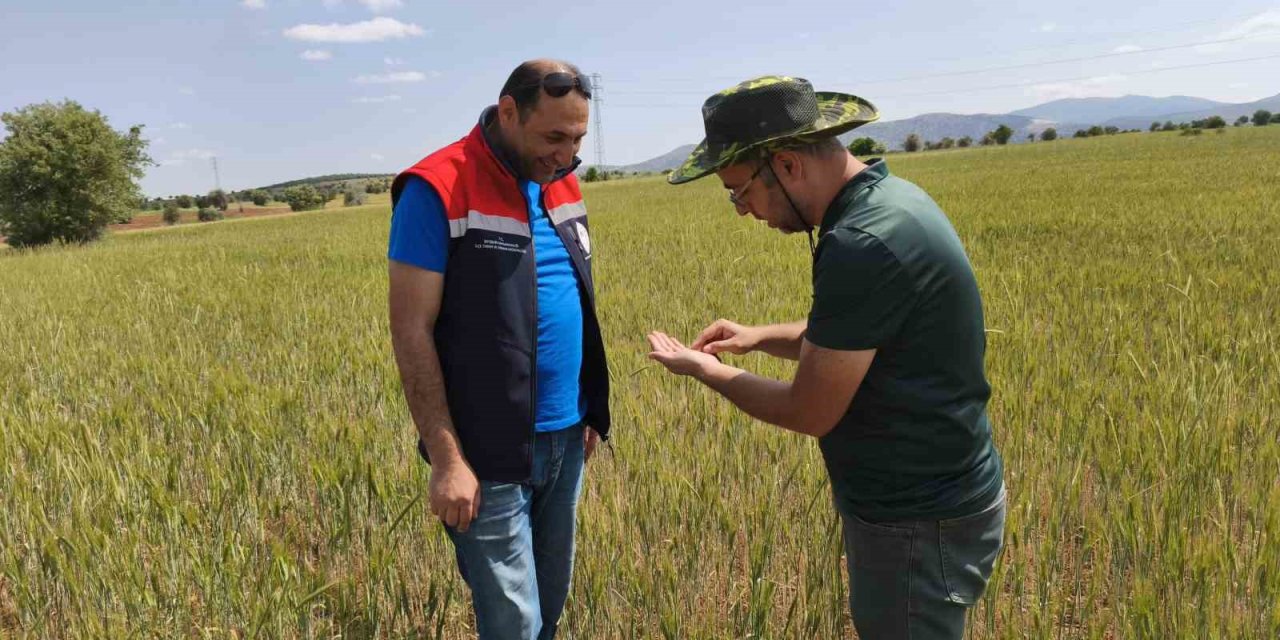 Beyşehir’de Hububat Ekili Alanlara Yakın Takip