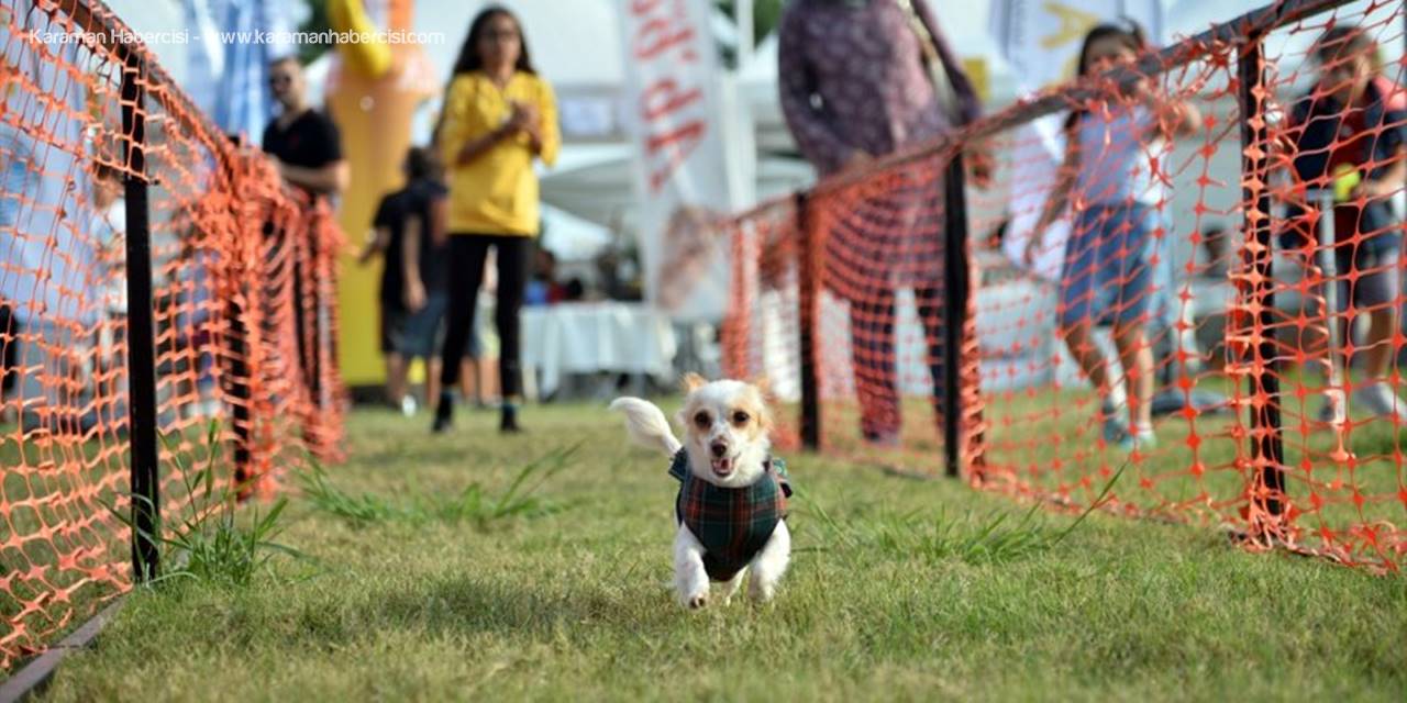 Mersin'de "Patifest" Renkli Görüntülerle Başladı