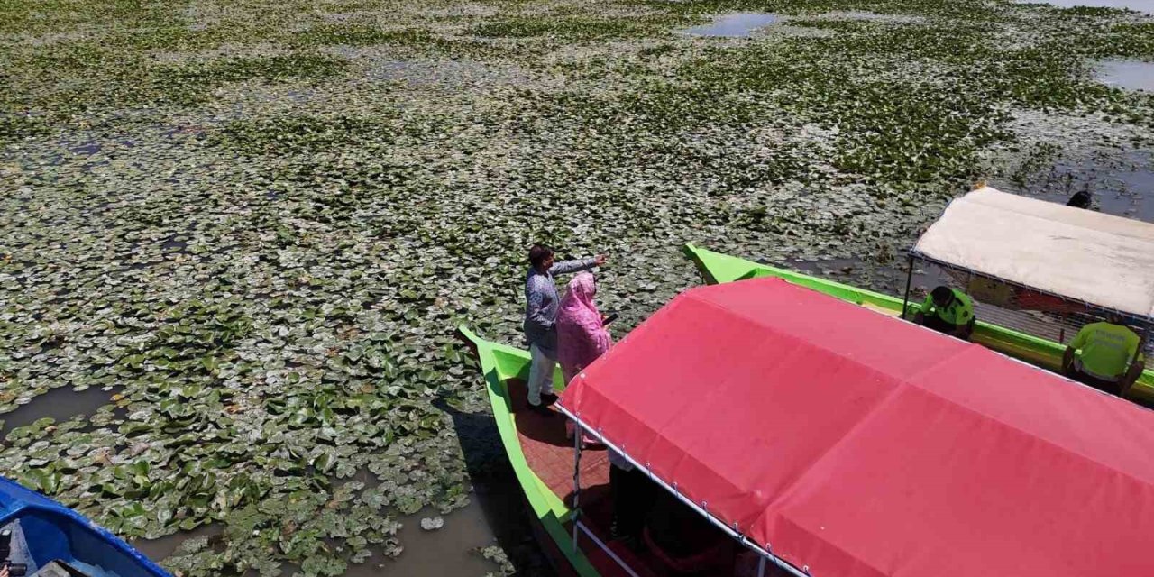 Beyşehir’de "bangladeş Su Nilüferi" Etkinlikleri