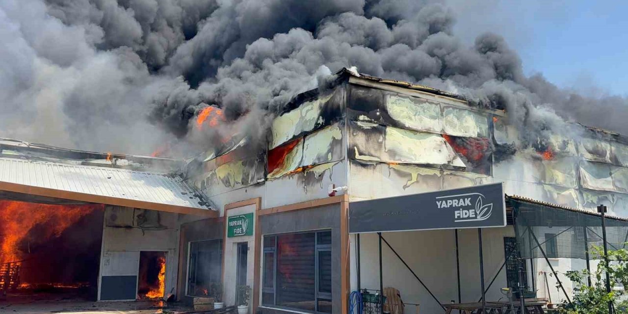 Fide Üretim Merkezinde Yangın