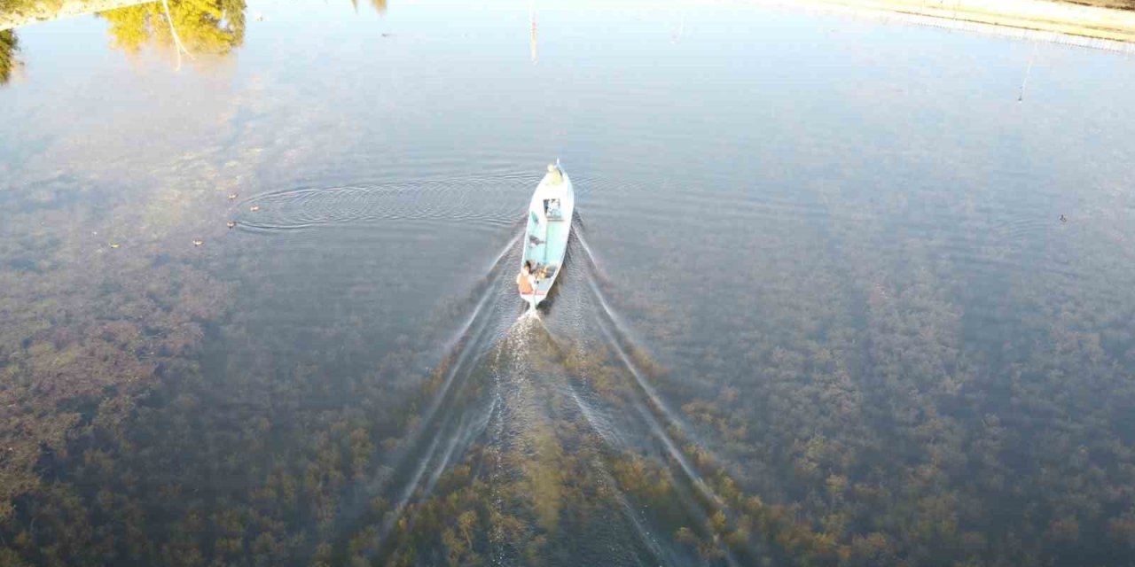 Beyşehir Gölünde Avlanma Yasağı Sona Eriyor