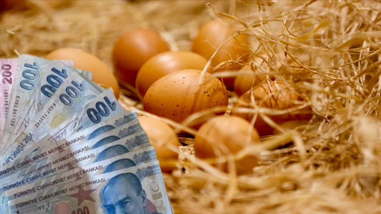 Yumurtada Büyük Düşüş! Yüzde 9,1 Düştü!