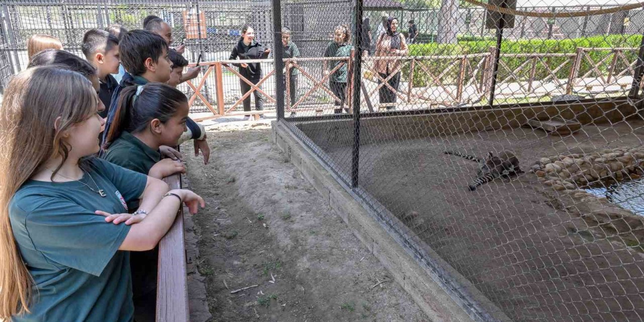 Mersin’deki ‘minikbüs Projesi’ Çocuklara Gezi Ve Öğrenme Yolculuğu Sunuyor