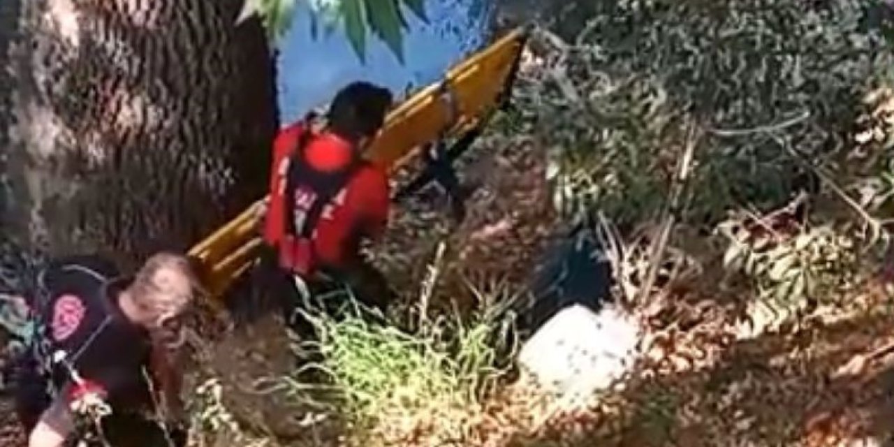 Balık Tutarken 15 Metreden Düştü